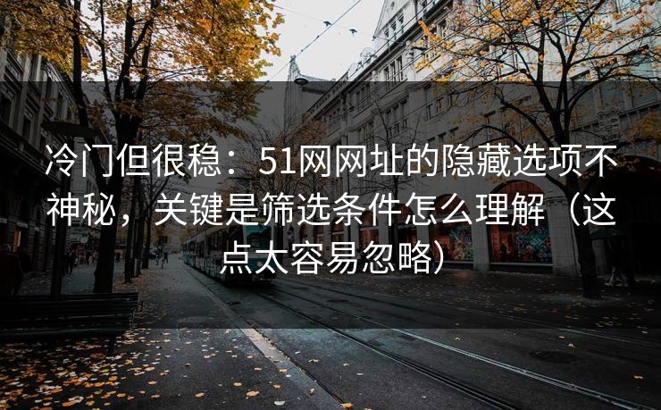 冷门但很稳：51网网址的隐藏选项不神秘，关键是筛选条件怎么理解（这点太容易忽略）